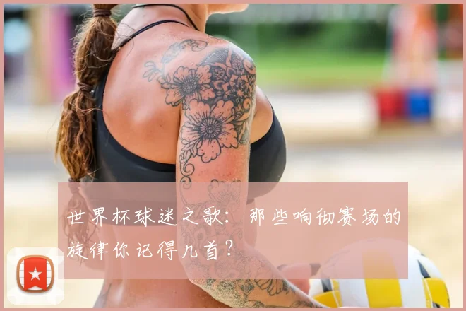 世界杯球迷之歌:那些响彻赛场的旋律你记得几首?