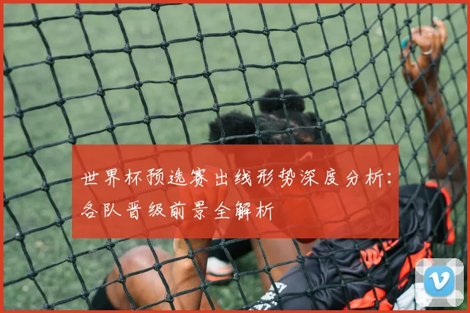 世界杯预选赛出线形势深度分析:各队晋级前景全解析