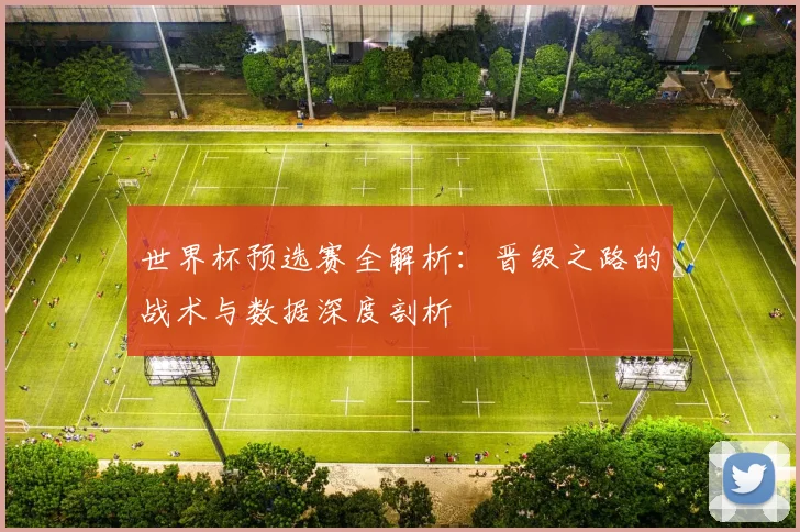 世界杯预选赛全解析:晋级之路的战术与数据深度剖析