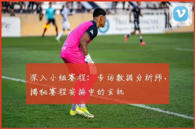 深入小组赛程:专访数据分析师,揭秘赛程安排中的玄机